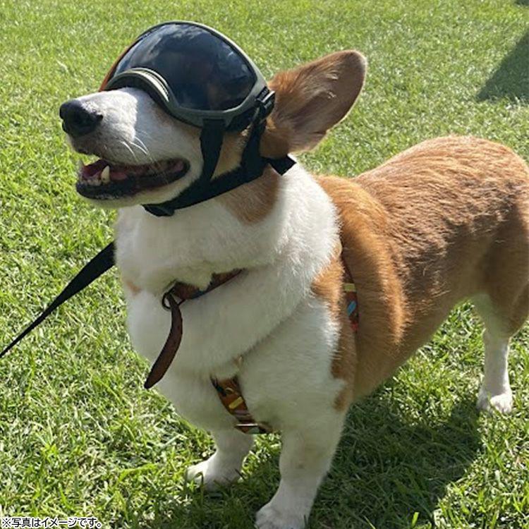 キロナイナー　R5 ゴーグル　S-Msize Coyote KILONINER KILONINER キロナイナー R5 Goggles 中型犬用ゴーグル S-M Coyote 犬