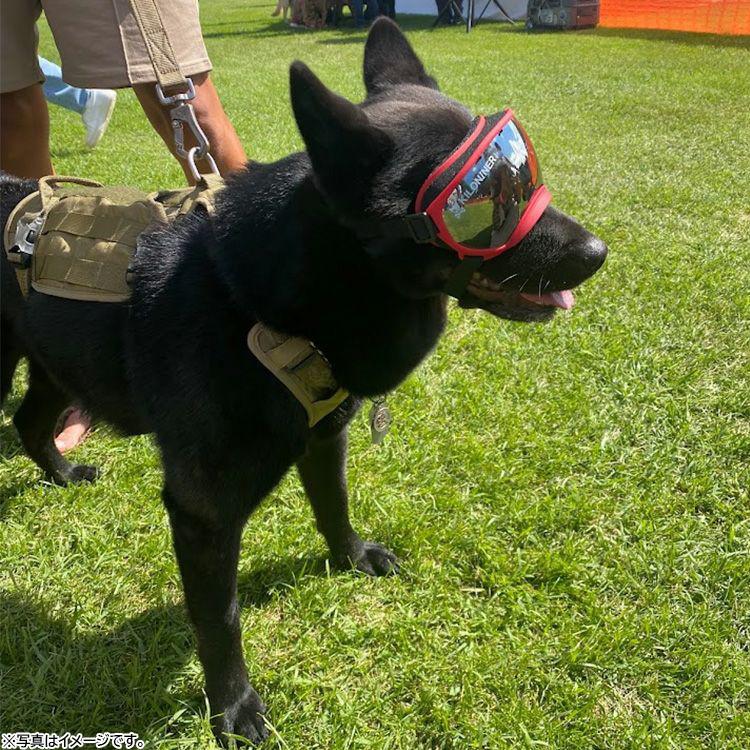 KILONINER キロナイナー R5 Goggles 中型犬用ゴーグル S-M Coyote 犬