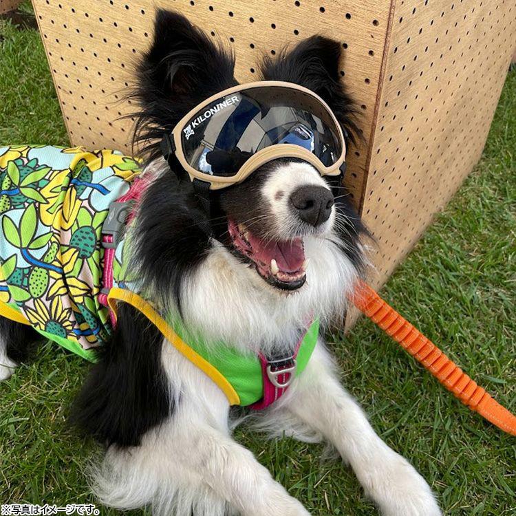 KILONINER キロナイナー R5 Goggles 中型犬用ゴーグル S-M Coyote 犬