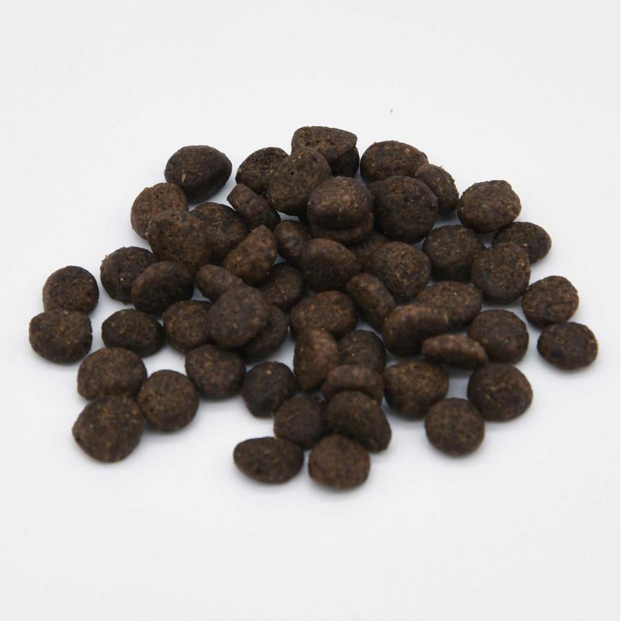 グレンコ ドッグフード ナチュール グレインフリー 全年齢用 ターキー 小粒 3.2kg 穀物不使用 グルテンフリー |  | 02