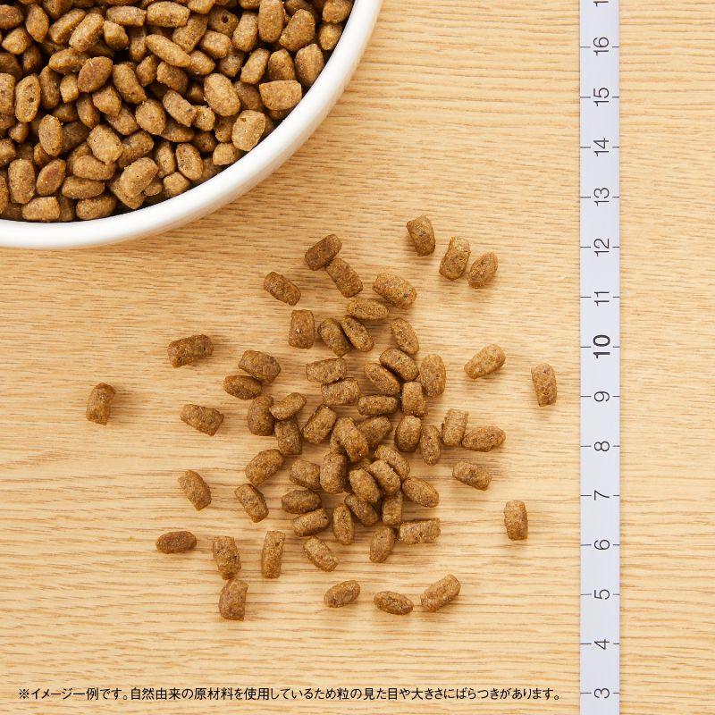 【キャットフード】ニュートロナチュラルチョイス　キトンチキン　2キロ✖️2袋 ナチュラルチョイス ニュートロ ナチュラルチョイス キャット 室内猫用