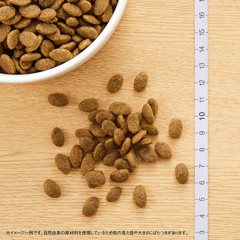 ニュートロ ナチュラルチョイス キャットフード 穀物フリー アダルト