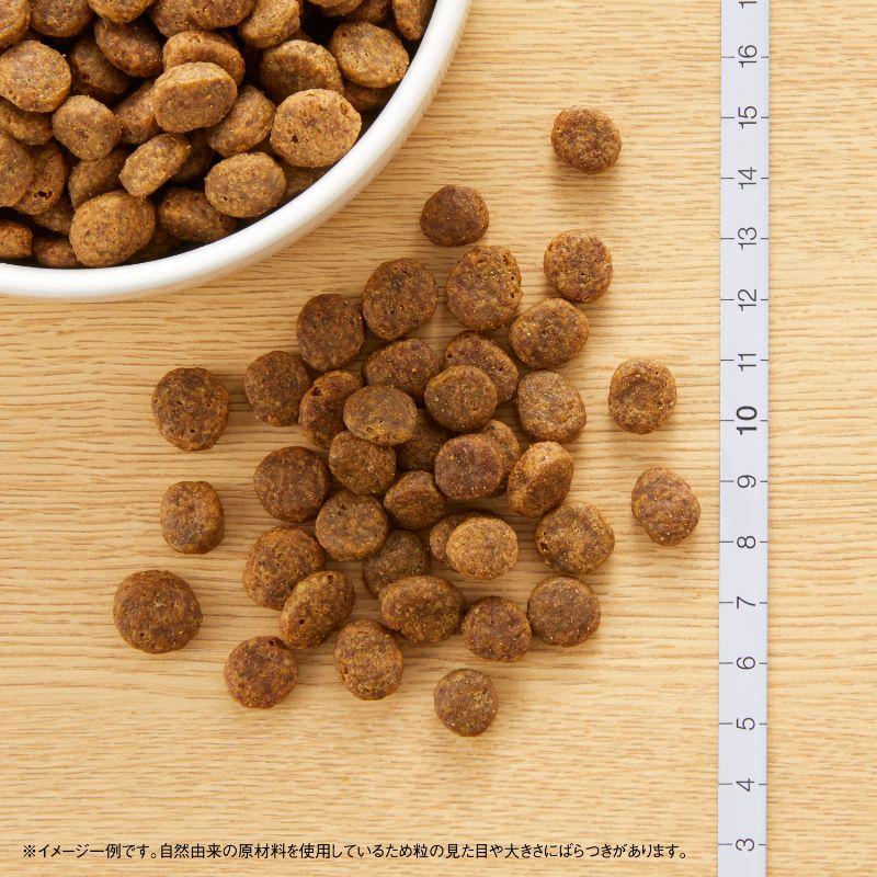 ニュートロ ナチュラルチョイス ドッグフード フィッシュ＆ポテト 全犬