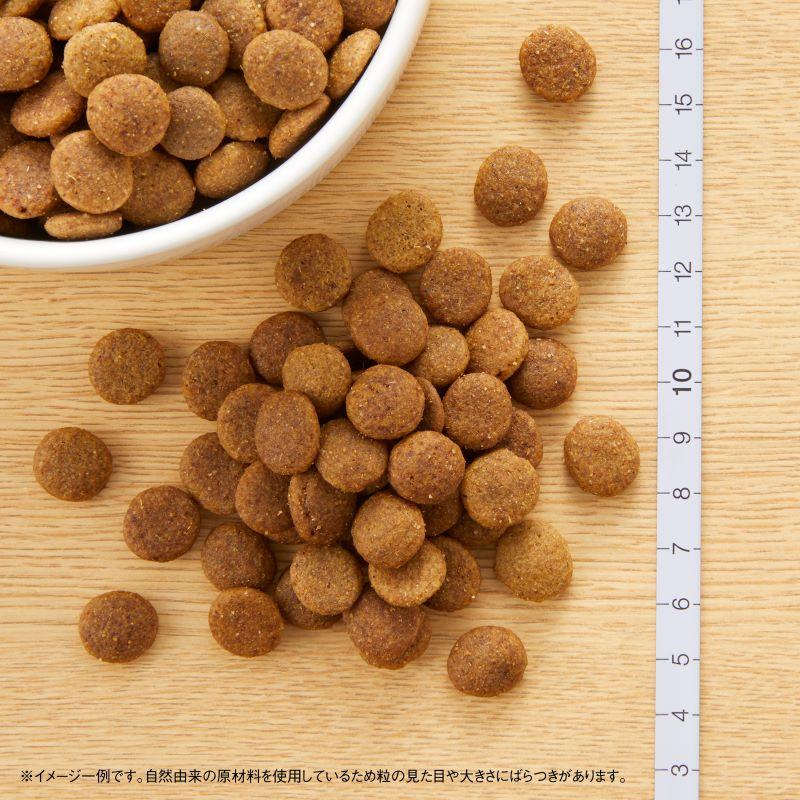 ニュートロ ナチュラルチョイス ドッグフード 子犬用 大型犬用 チキン