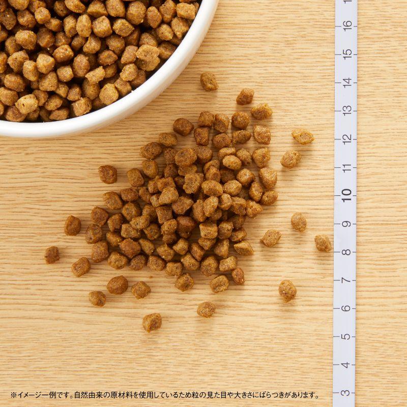 ニュートロ ナチュラルチョイス ドッグフード 超小型犬用 エイジング