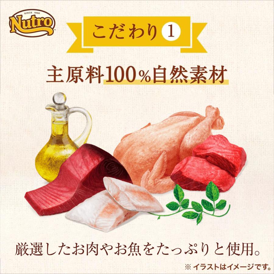 ニュートロ 猫用おやつ とろけるチキン＆サーモン チキンフレーク入り