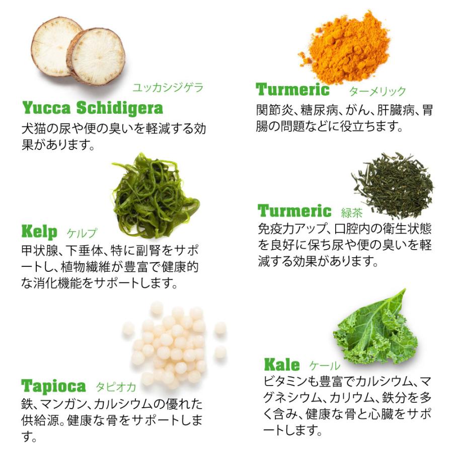 ネイチャーズハグ Nature’s HUG ドッグフード アダルト ミディアム＆ラージブリード 9.07kg Nature’s ネイチャーズハグ HUG ドッグフード アダルト ミディアム＆ラージブリード