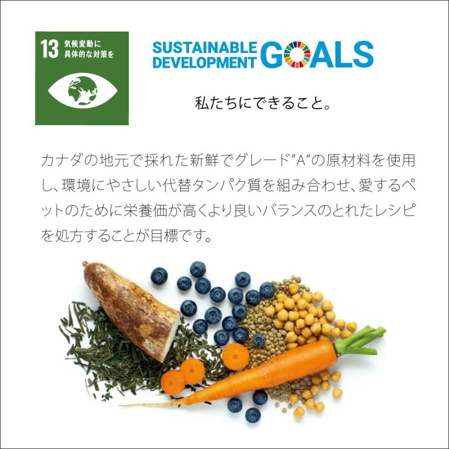 ネイチャーズハグ Nature’s HUG ドッグフード アダルト ミディアム＆ラージブリード 9.07kg Nature’s ネイチャーズハグ HUG ドッグフード アダルト ミディアム＆ラージブリード