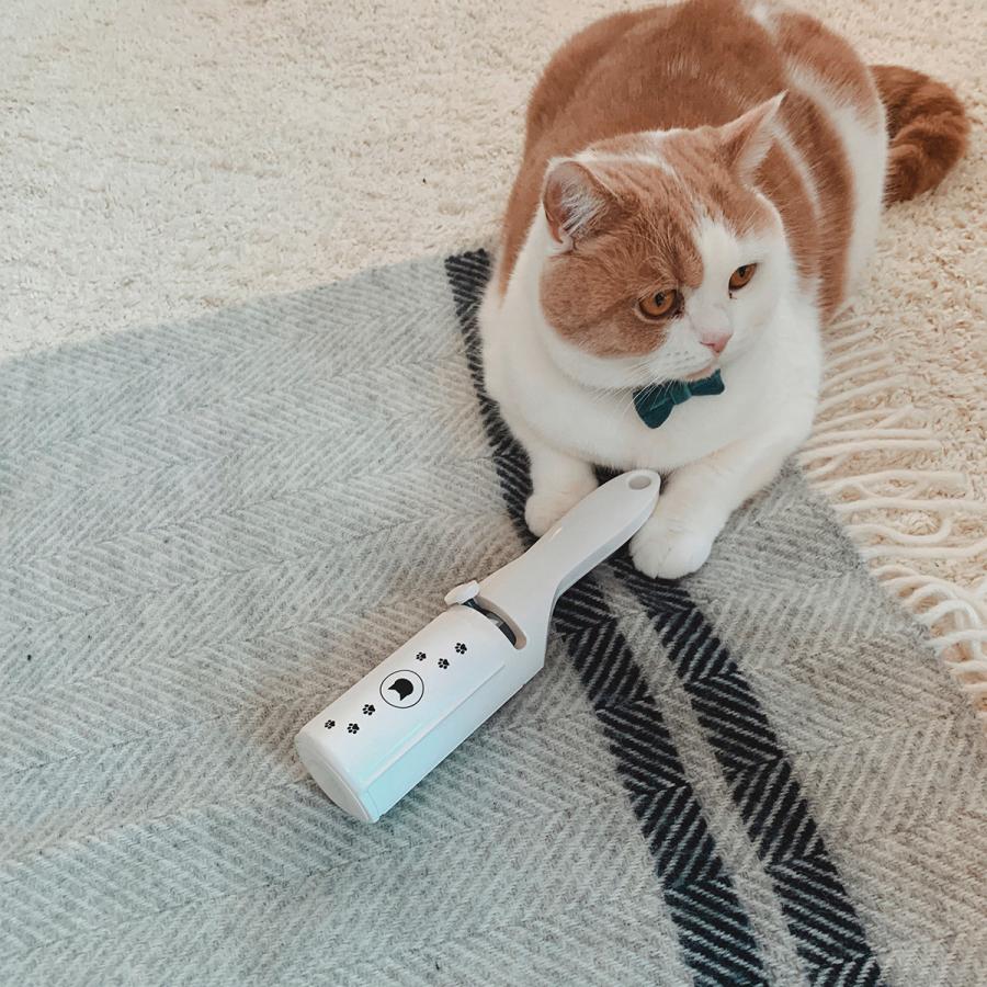猫壱 抜け毛取りワイパー 猫 日本製 クリーナー 掃除 : コジコジ 猫壱 抜け毛取りワイパー 猫 日本製 クリーナー 掃除 : コジコジ