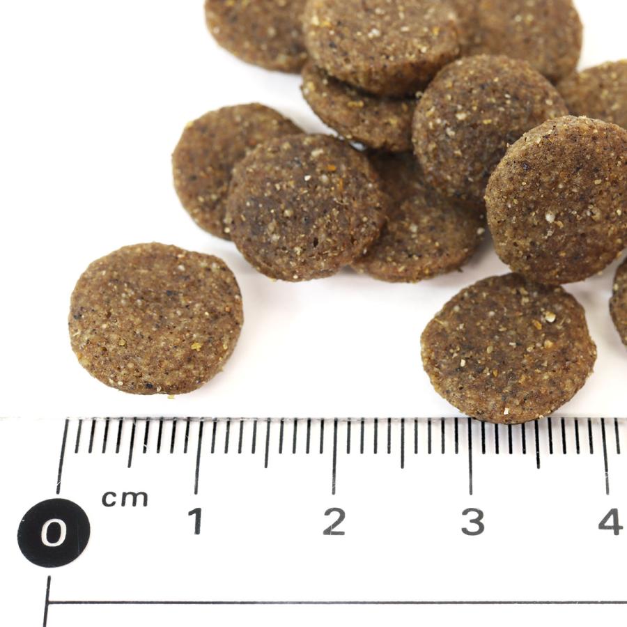 ナチュラルナース ドッグフード 800g×3袋 ナチュラルナース ドッグフード 800g×3袋セット（無添加