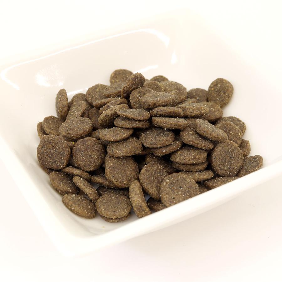 ナチュラルナース ドッグフード 6kg（無添加 ドライフード