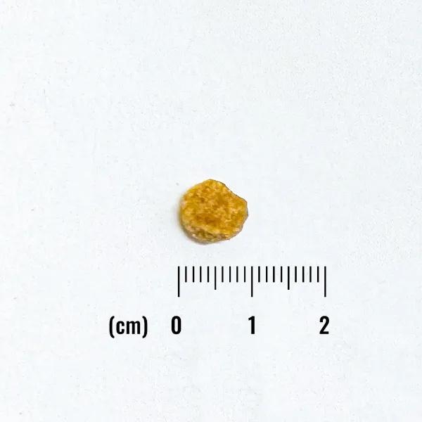 ナチュラルバランス ドッグフード LID 成犬用 ベジタリアンレシピ 小粒サイズ 2kg×6個セット_1