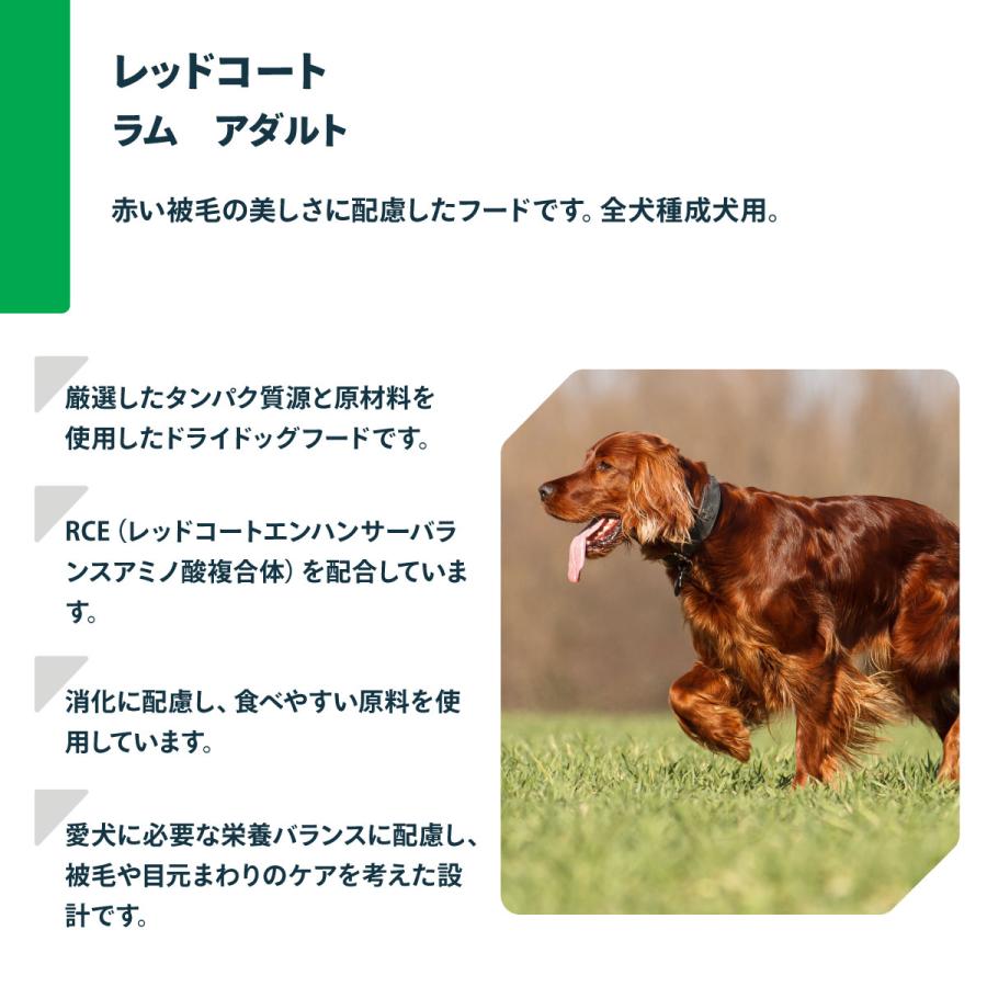 NATURE'S PROTECTION（ネイチャーズプロテクション） ドッグフード