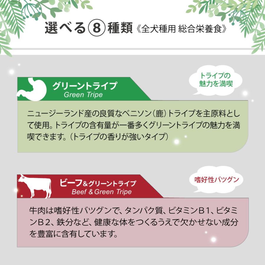 NUTRIPE - ニュートライプ 純然たる 鰻＆グリーントライプ 185g×24缶仕かける【貨物輸送無料】