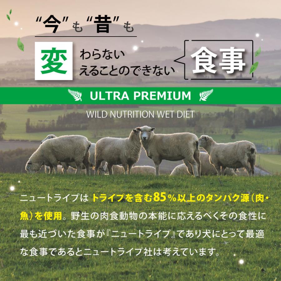NUTRIPE - ニュートライプ 純然たる 鰻＆グリーントライプ 185g×24缶仕かける【貨物輸送無料】