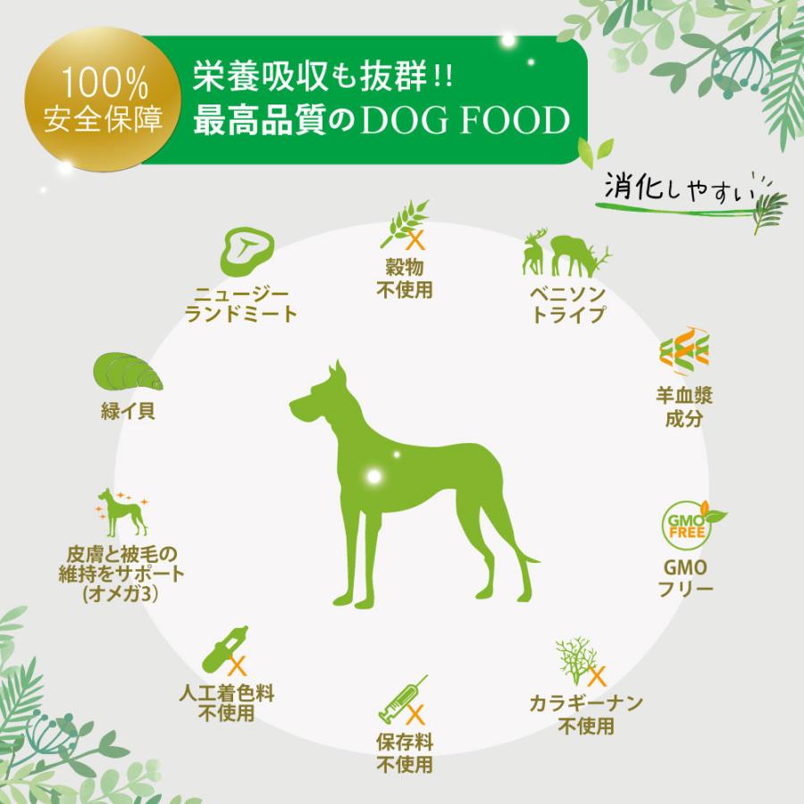 NUTRIPE - ニュートライプ 純然たる 鰻＆グリーントライプ 185g×24缶仕かける【貨物輸送無料】