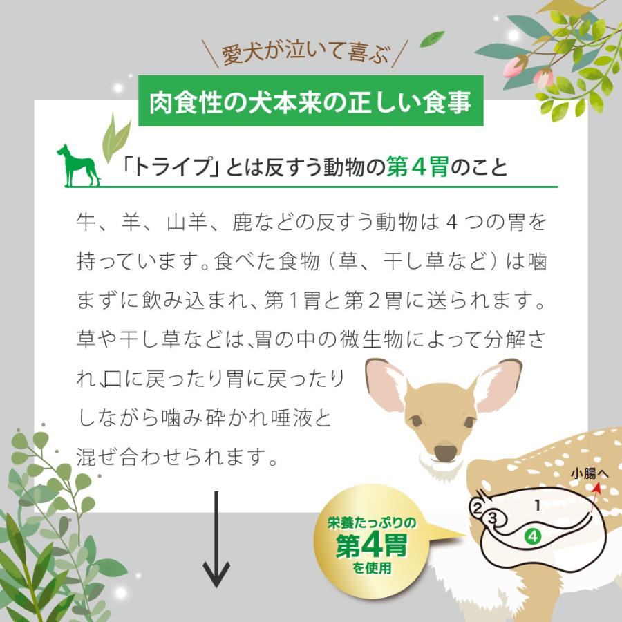 NUTRIPE - ニュートライプ 純然たる 鰻＆グリーントライプ 185g×24缶仕かける【貨物輸送無料】