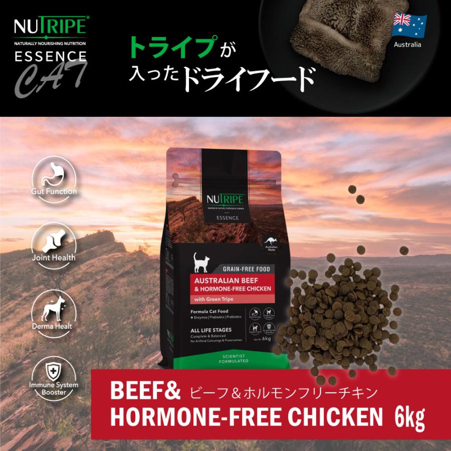 NUTRIPE（ニュートライプ） GFドライ キャット ビーフ＆チキン with