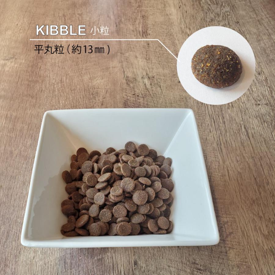 NUTRIPE（ニュートライプ） GFドライ キャット サーモン＆チキン with