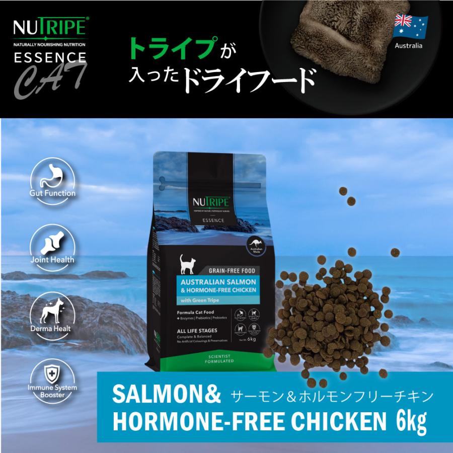 NUTRIPE（ニュートライプ） GFドライ キャット サーモン＆チキン with