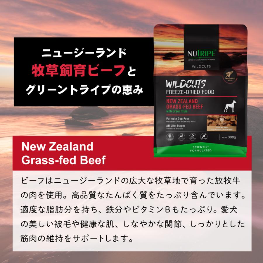 ニュートライプ ドッグフード ワイルドカット フリーズドライ ビーフwithグリーントライプ 15g 無添加 |  | 06