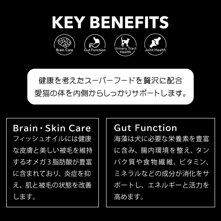 ニュートライプ キャットフード ワイルドカット フリーズドライ フィッシュ＆ラムwithグリーントライプ 15g |  | 04
