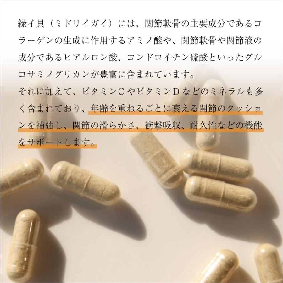 ニュートライプ サプリメント GLMサプリ 120カプセル【送料無料】 グルコサミン コンドロイチン 関節 緑イ貝 |  | 03