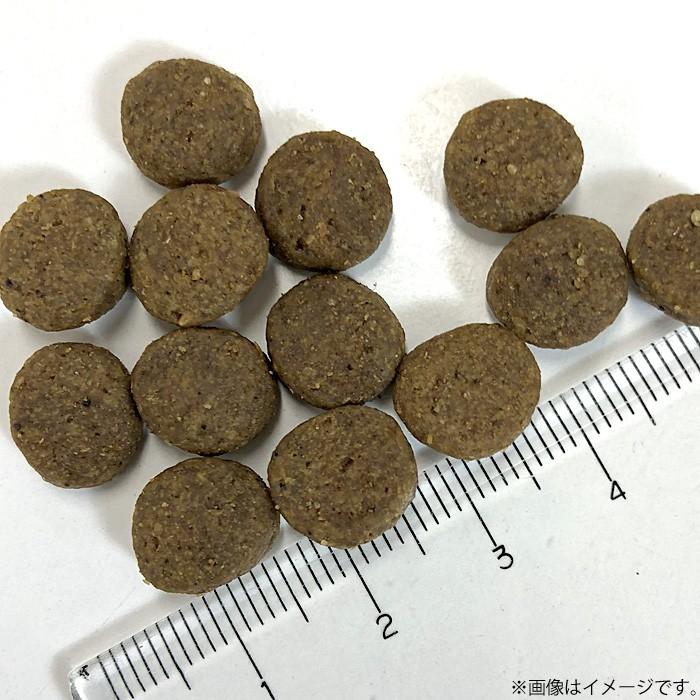 エントリーで+4倍！5月15日！ニュートロ ワイルドレシピ 超小型犬〜小型犬用 成犬用 チキン 800g（穀物不使用 無添加）｜koji｜02