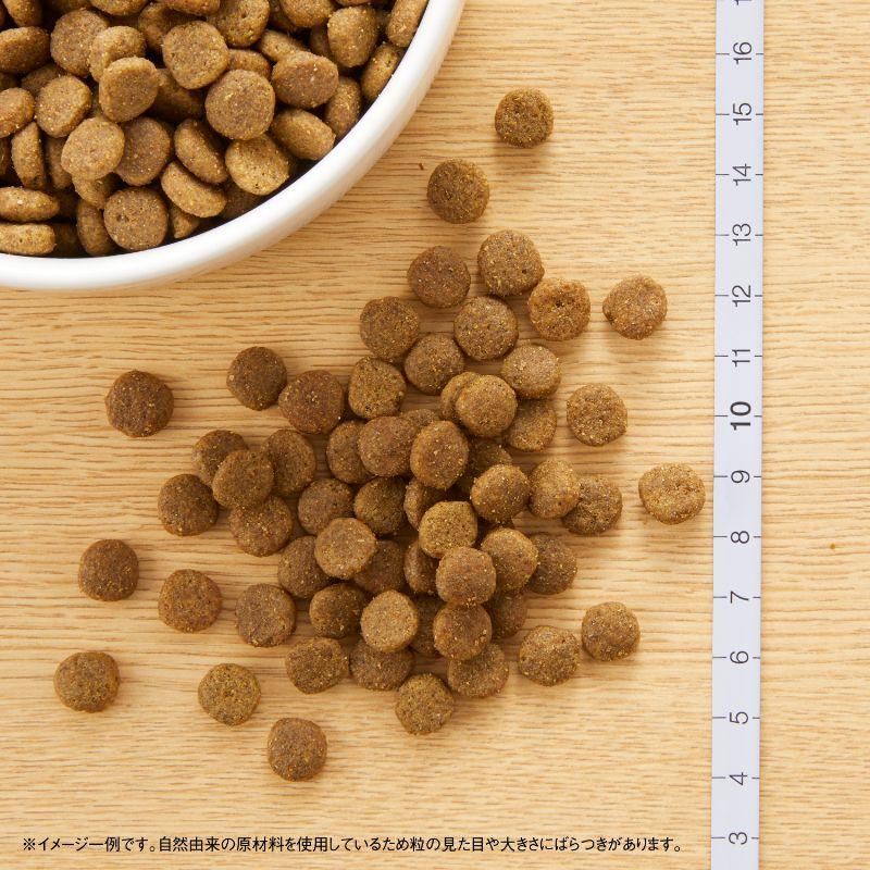 ニュートロ キャットフード ワイルドレシピ アダルト 白身魚 成猫用