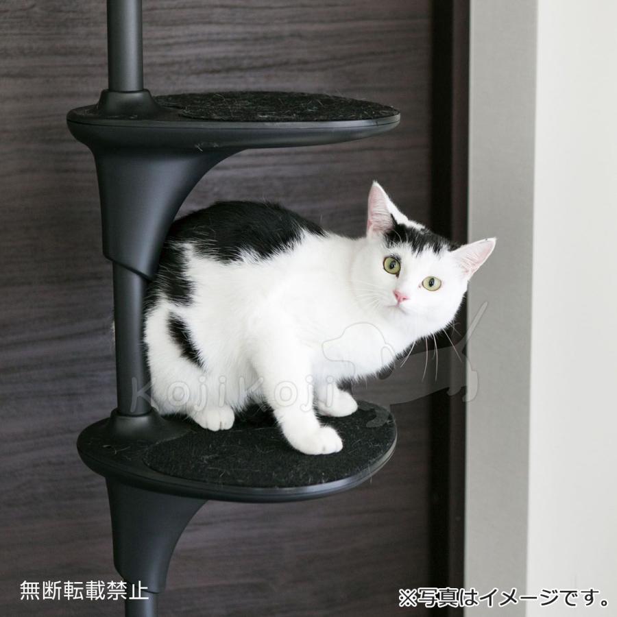 OPPO(オッポ) CatForest(キャットフォレスト) ブラック 猫 OPPO(オッポ) CatForest(キャットフォレスト) ブラック 猫