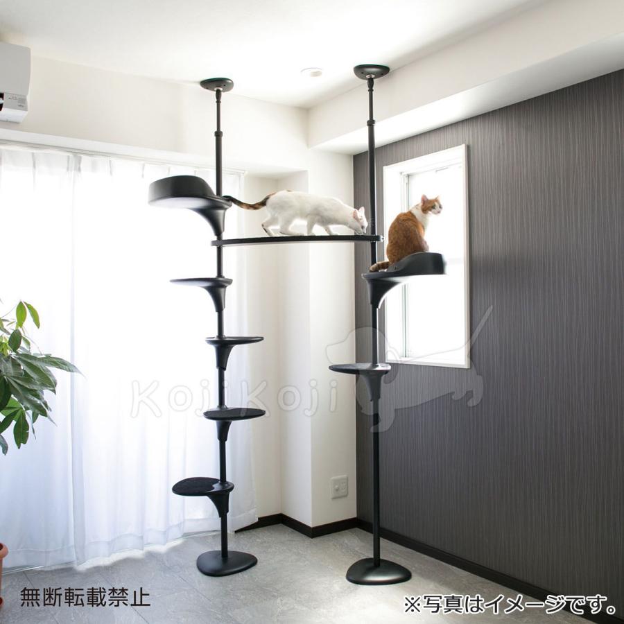 OPPO(オッポ) CatForest(キャットフォレスト) ブラック 猫 OPPO(オッポ) CatForest(キャットフォレスト) ブラック 猫