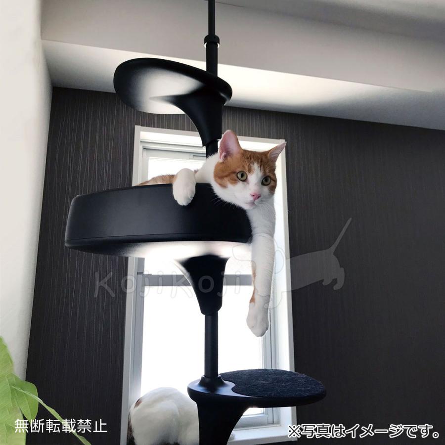 店内ポイント最大29.5倍!本日限定! OPPO(オッポ) CatForest 店内ポイント最大29.5倍!本日限定! OPPO(オッポ) CatForest