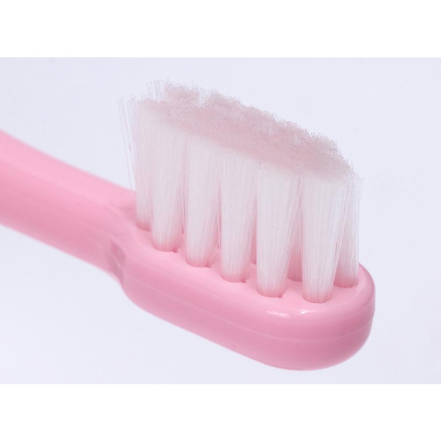 OraBio オーラバイオブラシ 長毛 ピンク 犬 歯ブラシ デンタルケア 歯磨き 無添加 国産 歯石 歯垢 全犬種 | ブランド登録なし | 02