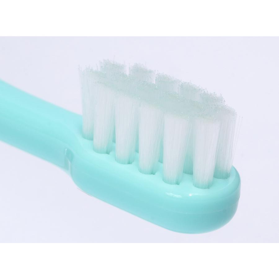 OraBio オーラバイオブラシ 中毛 グリーン 犬 歯ブラシ デンタルケア 歯磨き 無添加 国産 歯石 歯垢 全犬種 | ブランド登録なし | 02