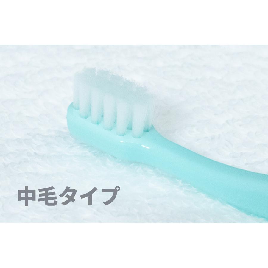 OraBio オーラバイオブラシ 中毛 グリーン 犬 歯ブラシ デンタルケア 歯磨き 無添加 国産 歯石 歯垢 全犬種 | ブランド登録なし | 03