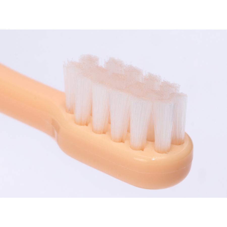 OraBio オーラバイオブラシ 短毛 オレンジ 犬 猫 歯ブラシ デンタルケア 歯磨き 無添加 国産 歯石 歯垢 全犬種 | ブランド登録なし | 02