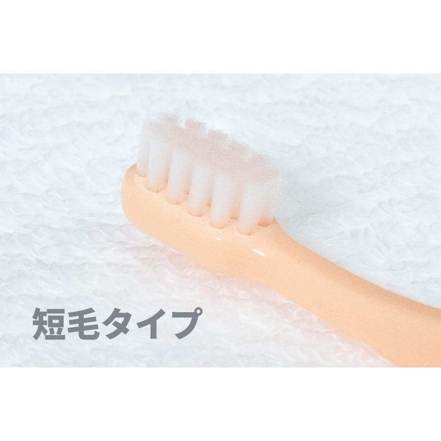 OraBio オーラバイオブラシ 短毛 オレンジ 犬 猫 歯ブラシ デンタルケア 歯磨き 無添加 国産 歯石 歯垢 全犬種 | ブランド登録なし | 03