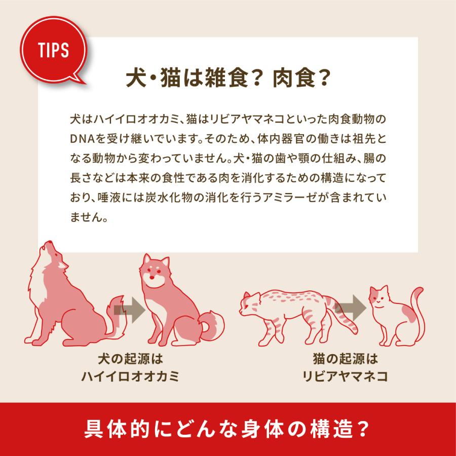 エントリーで+4倍！本日限定！オリジン Orijen ドッグフード パピー 全犬種 子犬用 穀物不使用 6kg 正規品 無添加 グレインフリー｜koji｜07