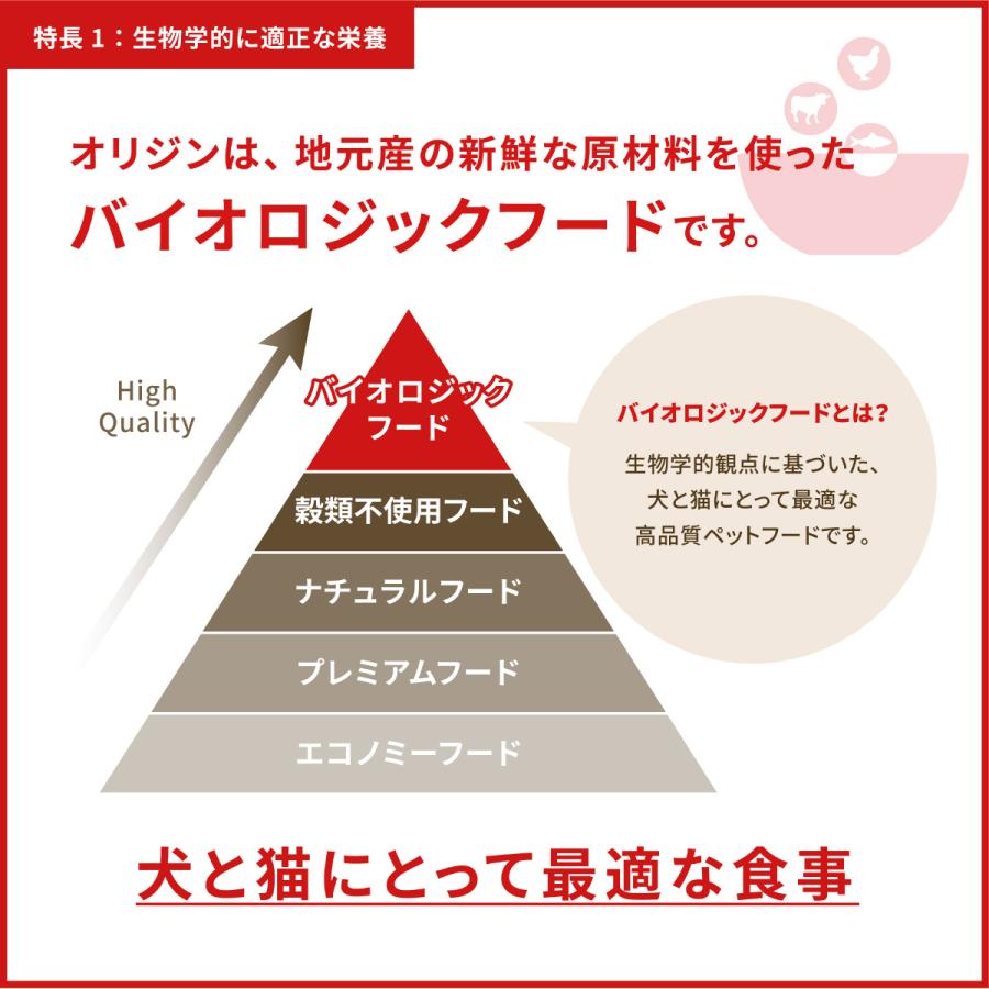 オリジン Orijen キャットフード オリジナル キャット 全猫種 全年齢用 穀物不使用 340g×24個セット_7
