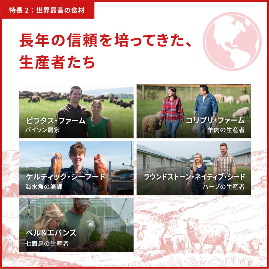 オリジン Orijen キャットフード ガーディアン8 全猫種 全年齢用 穀物不使用 1.8kg 正規品 無添加の画像
