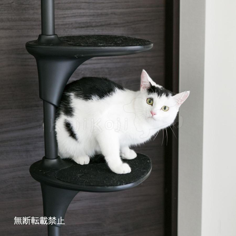 OPPO（オッポ） キャットタワー 突っ張り スリム キャットフォレスト