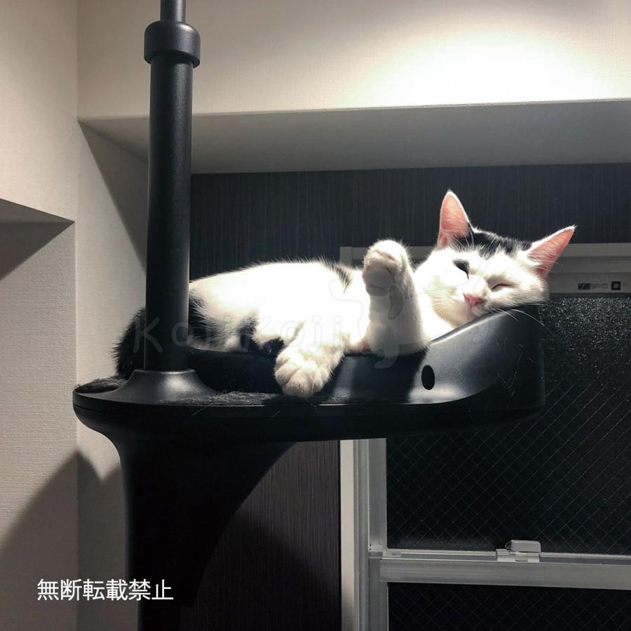 OPPO（オッポ） キャットタワー 突っ張り スリム キャットフォレスト