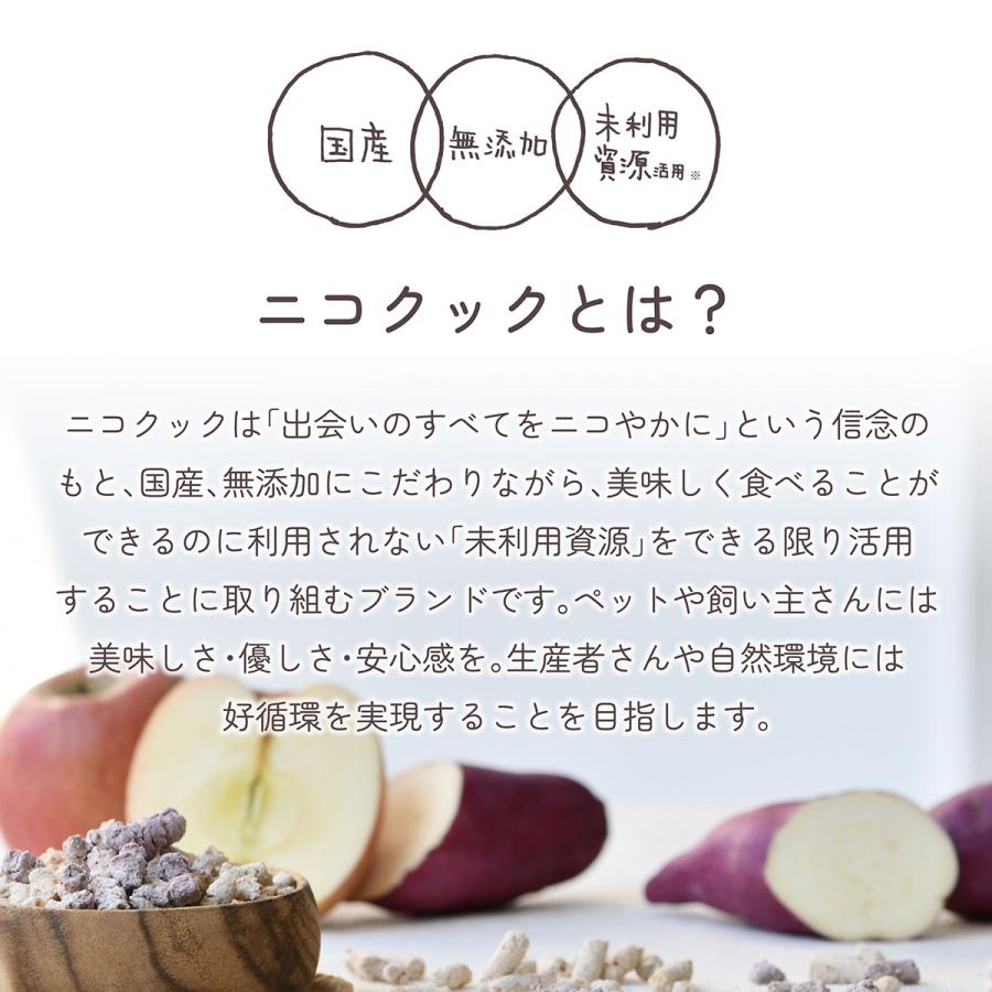 nico cook ニコクック コロりんご ブルーベリー 犬用おやつ 50g 国産 無添加 未利用資源活用 |  | 03