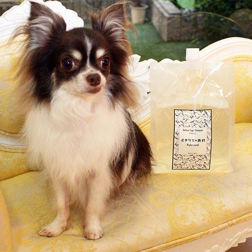 ポチタマのあわ　Professional　ベルガモット 2個 ポチタマのあわ Professional ベルガモット(Web限定 お試し用