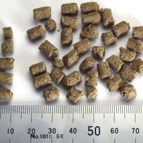 バツグンドッグフード 1kg : コジコジ - 通販 - Yahoo!ショッピング