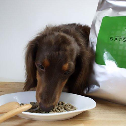 BATUGUN バツグン　成犬用ドッグフード1kg ×2 バツグンドッグフード 1kg : コジコジ - 通販 - Yahoo!ショッピング