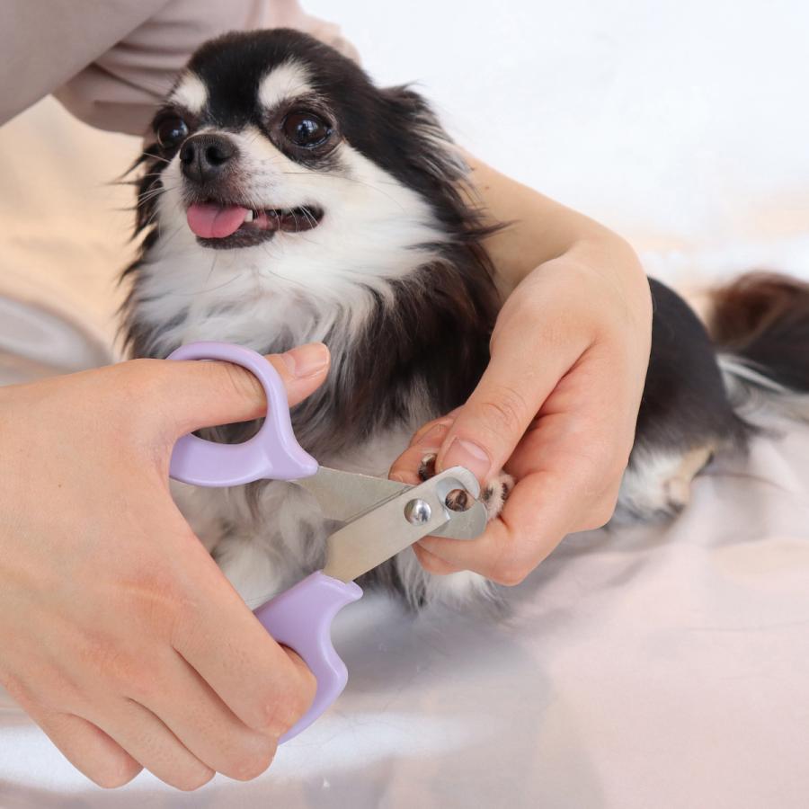 Pet's Route やさしい犬用爪切り 超小型〜中型犬用 ペッツルート やさしい犬用爪切り : コジコジ - 通販 - Yahoo!ショッピング