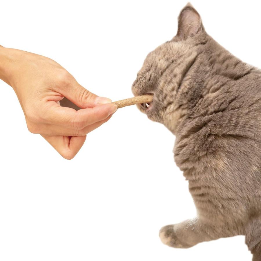 ペッツルート いっしょに歯磨きちゅーむ かつお 猫用 おやつ ガム 25g