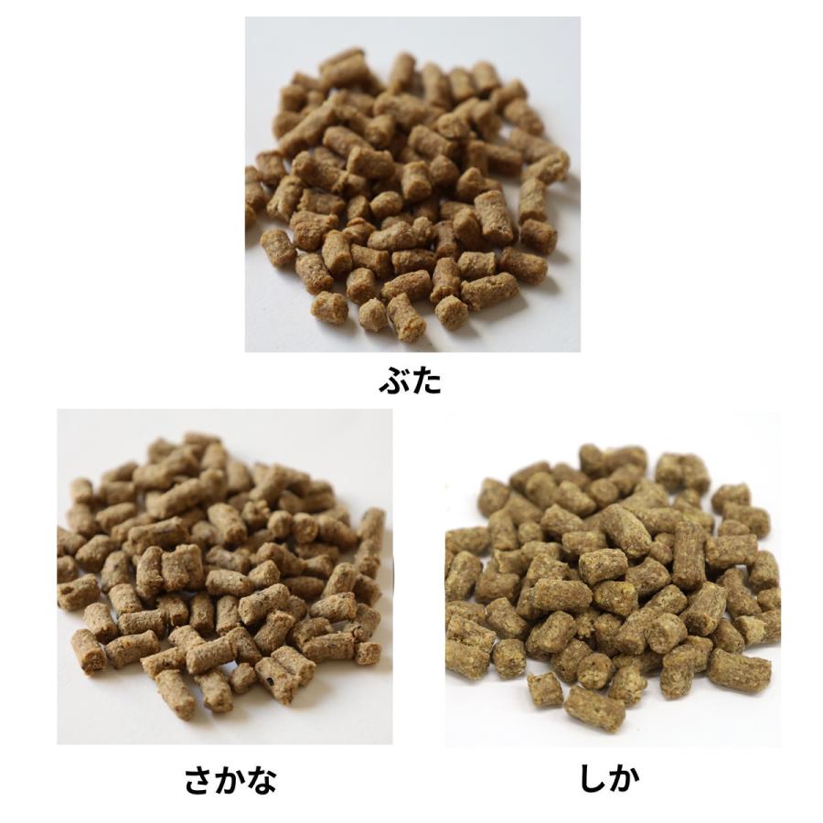 パシュート オブ ラブ ぼくらのごはん 3種お試しサンプル3袋 パシュート オブ ラブ ぼくらのごはん 3種お試しサンプル3袋