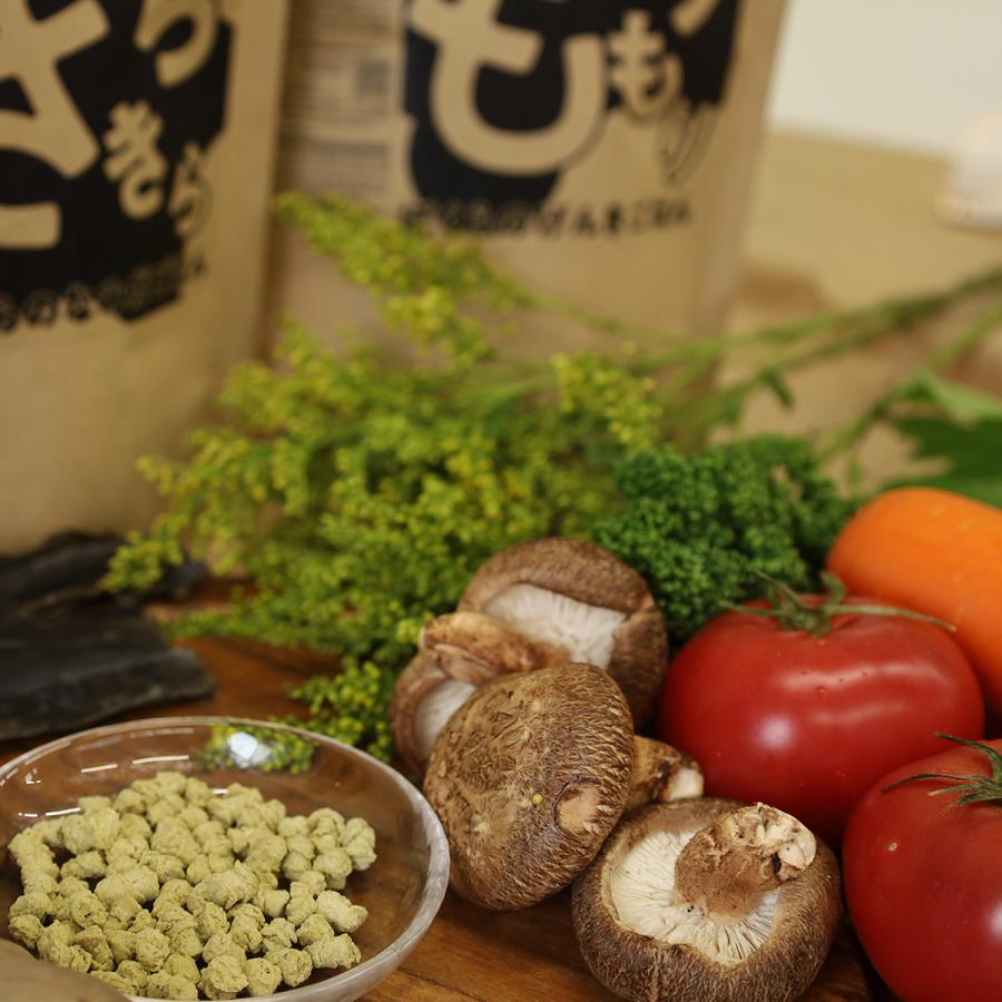 パシュートオブラブ もりもり ぼくらのげんきごはん 400g 無添加 国産